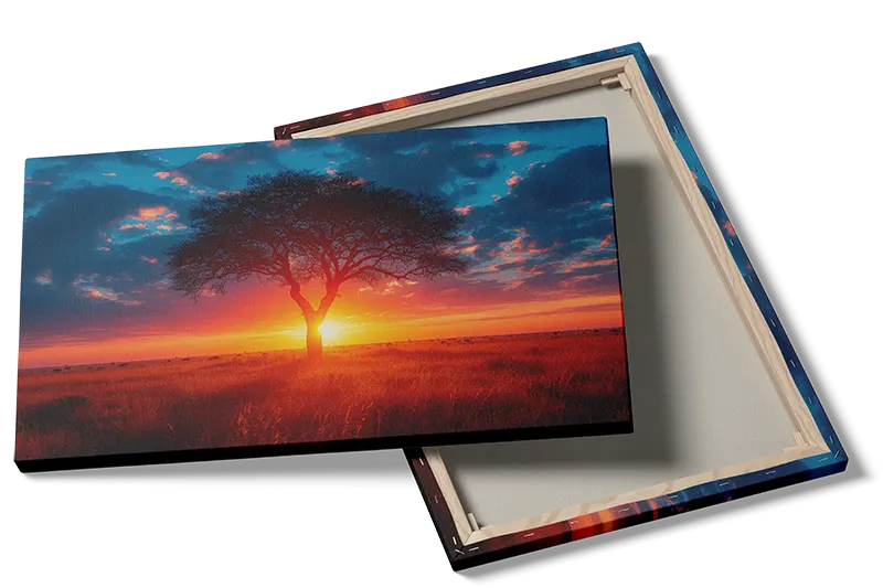 Akacietræ i Solnedgang Plakat