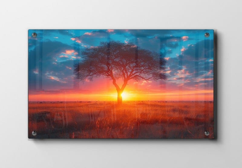 Akacietræ i Solnedgang Plakat