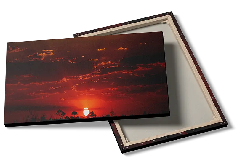 Savanne Solnedgang Plakat