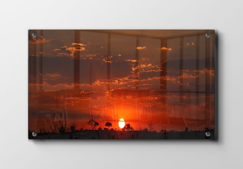 Savanne Solnedgang Plakat