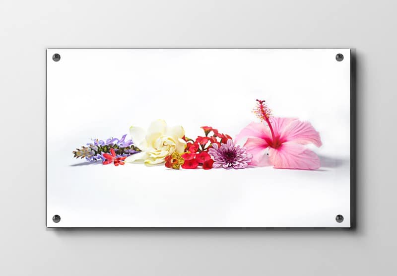 Tropiske Blomster Komposition Plakat