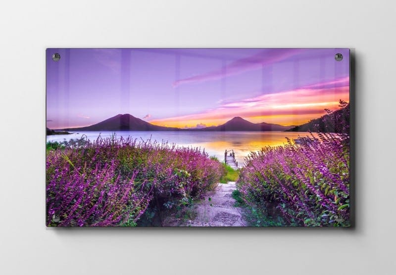 Sølandskab Med Lilla Blomster Plakat