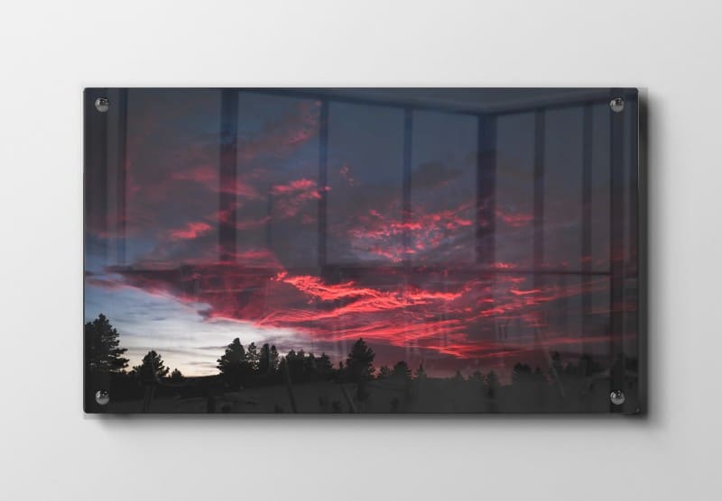 Flammende Skumring Over Skov Plakat