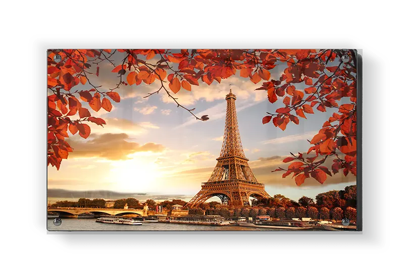 Eiffel Tower Autumn Sunset