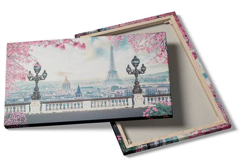 Paris View With Blossoming Trees