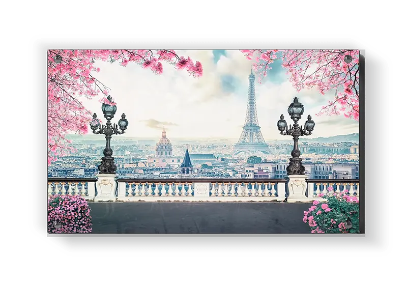 Paris View With Blossoming Trees