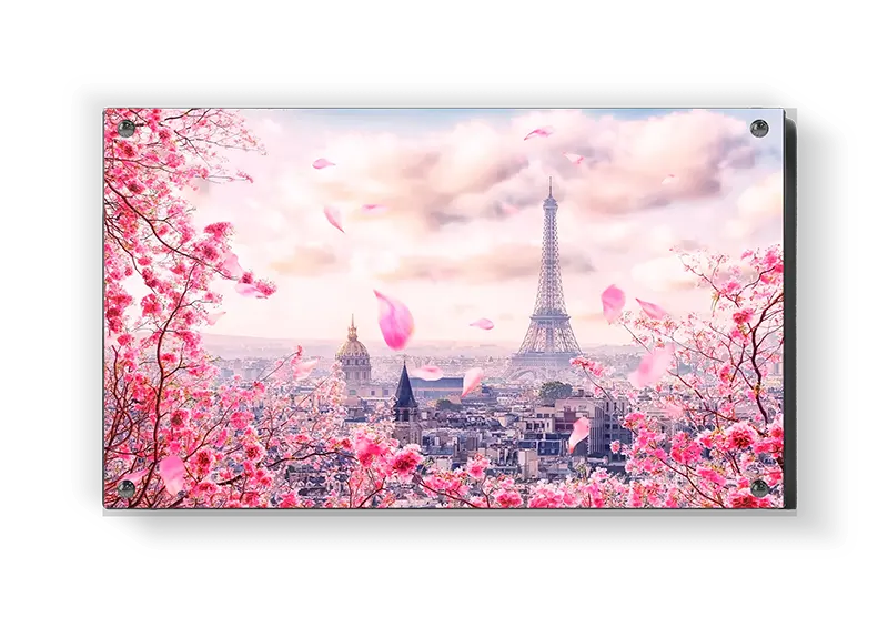 Paris Skyline With Blossoming Cherry Trees