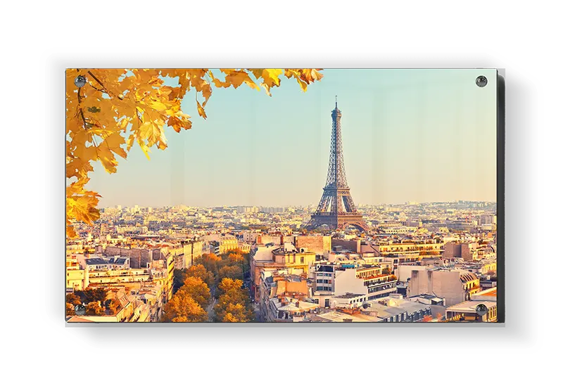 Eiffel Tower Autumn View