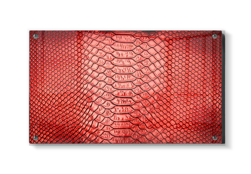 Rød Slangeskind Tekstur Closeup