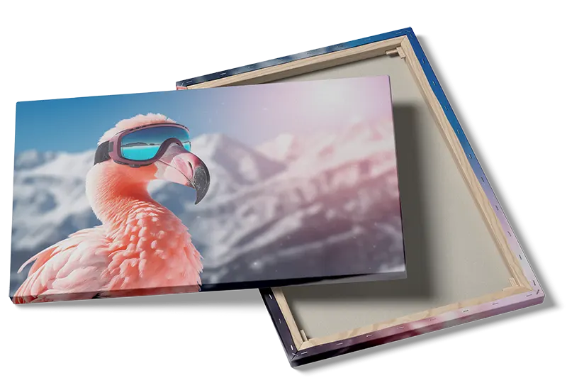 Flamingo på Eventyr i Sneen