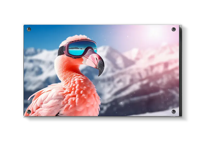 Flamingo på Eventyr i Sneen