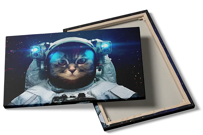 Grafisk Kat i Astronautdragt