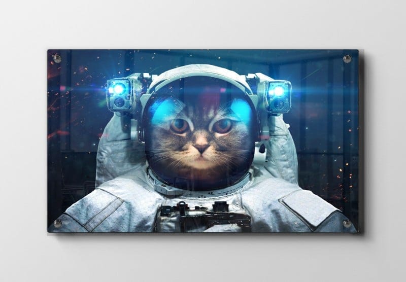 Grafisk Kat i Astronautdragt