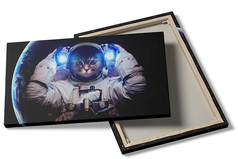 Astronautkat med Jorden Bagved