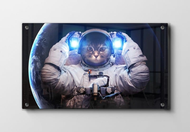Astronautkat med Jorden Bagved