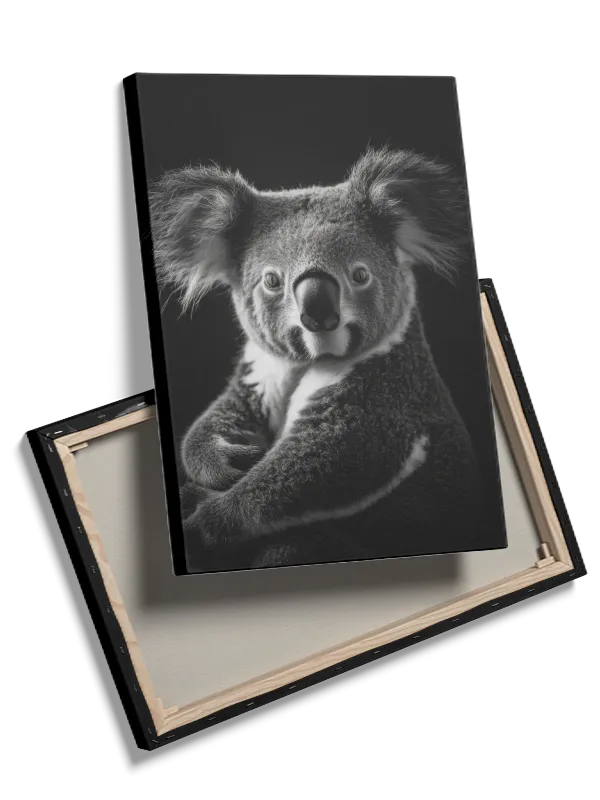 Koala Plakat