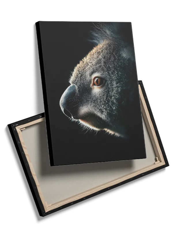 Koala Portrait Plakat