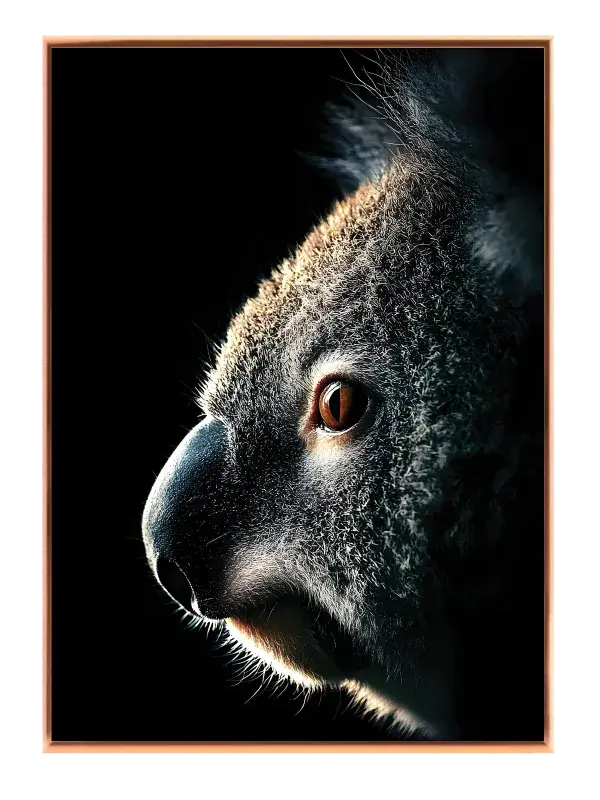 Koala Portrait Plakat