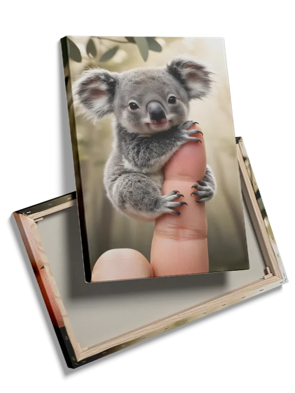 Koala Baby Plakat