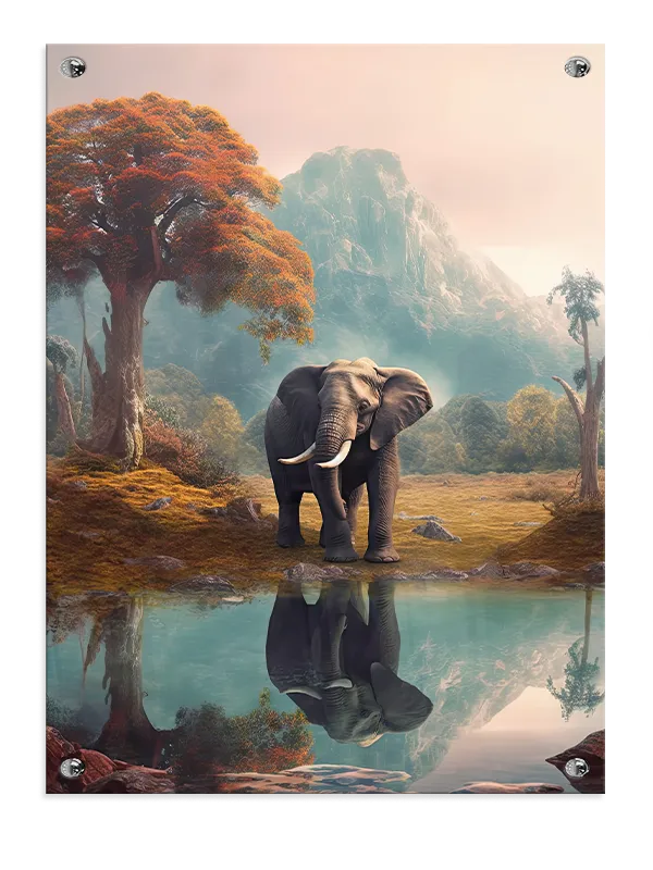 Elephant Reflection Oasis Plakat