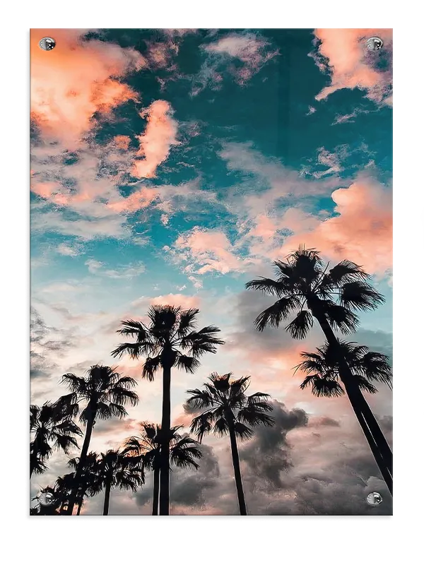 Palmer Under Aftenhimmel Plakat