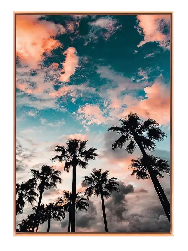 Palmer Under Aftenhimmel Plakat