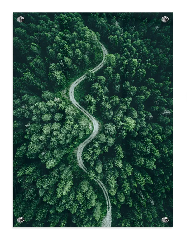 Slingrende Skovsti Plakat