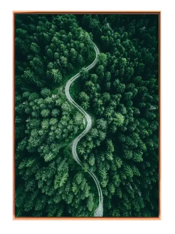 Slingrende Skovsti Plakat