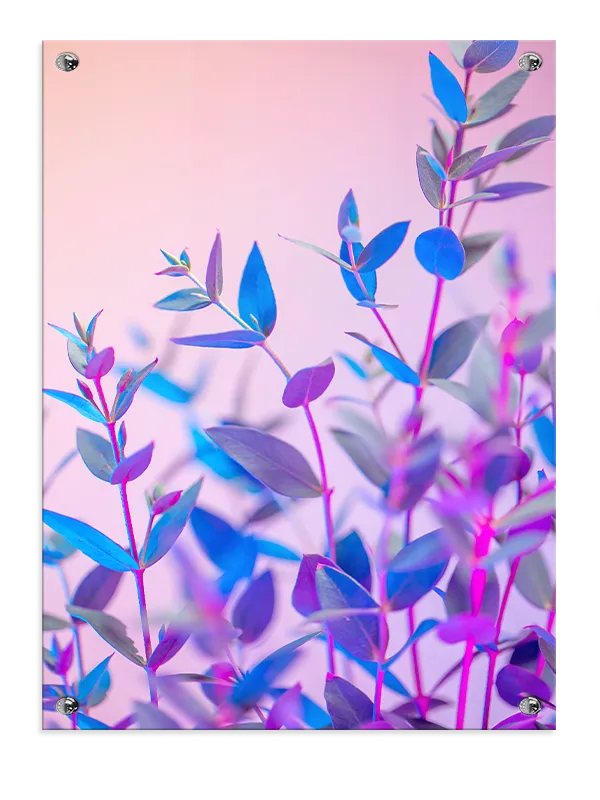 Eukalyptus i Neonlys Plakat