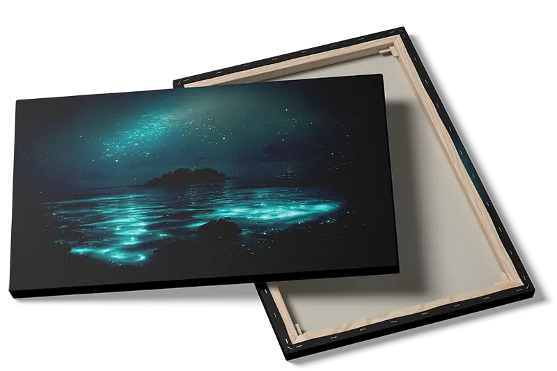 Bioluminescerende Kystlys Plakat