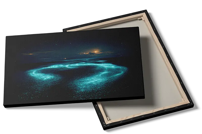 Bioluminescerende Havlysning Plakat