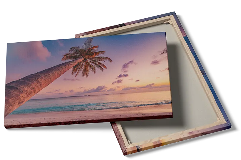 Palme ved Solnedgang Plakat