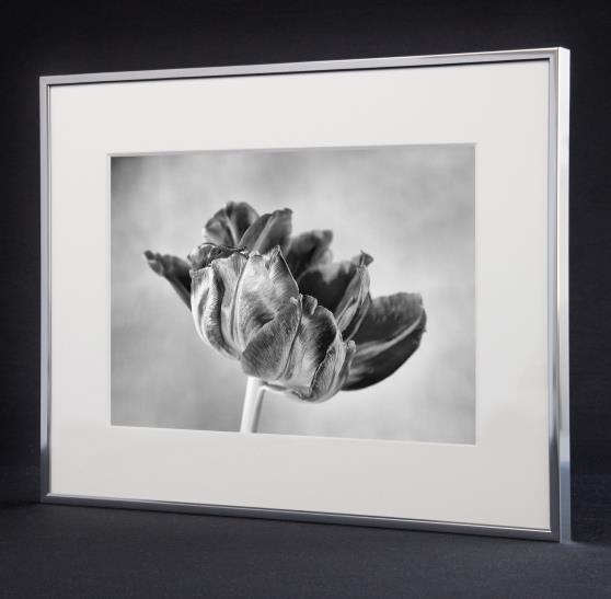ACCENT – Skifteramme i aluminium
